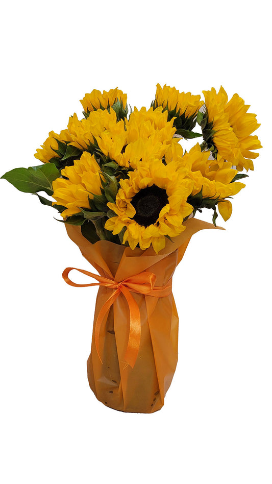 11 Stem Sunflowers with lemon leafs in a vase