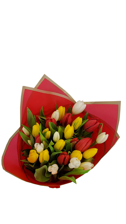 30 Stem Tulips: Red White and Yellow